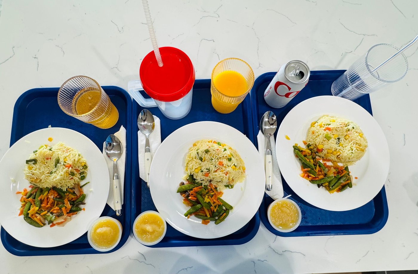 Rice and Vegetables